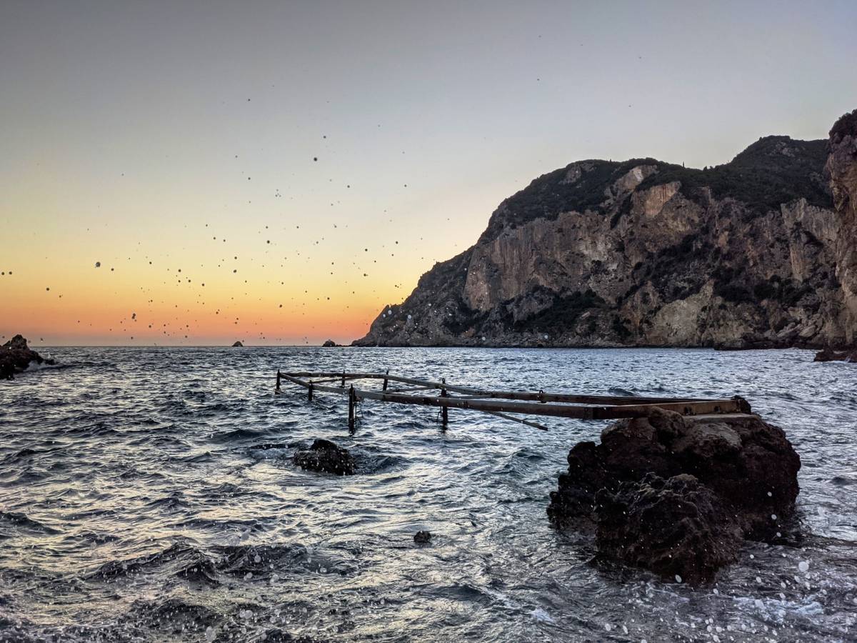 PXL_20210716_180406964.MP-02 (Large)