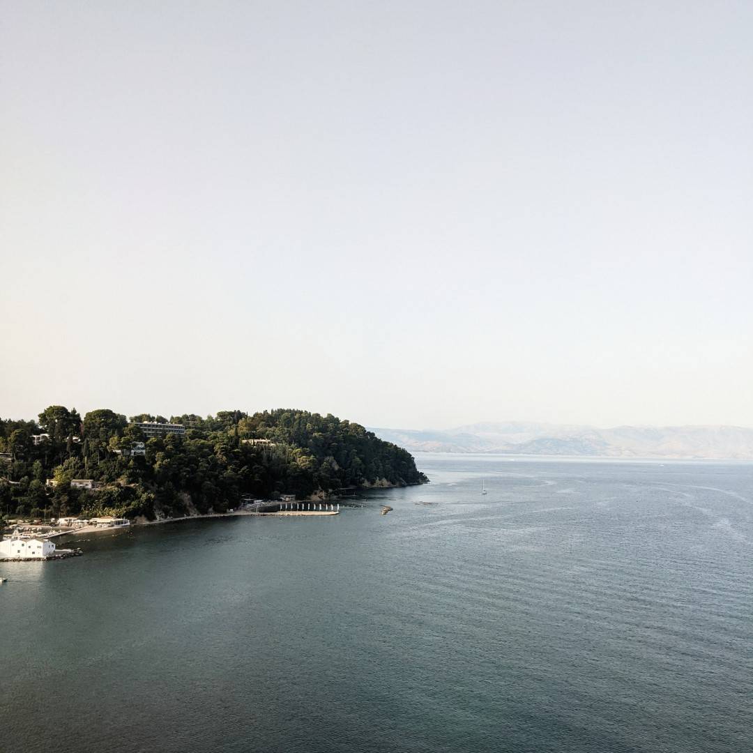 PXL_20210714_162740527-01 (Large)