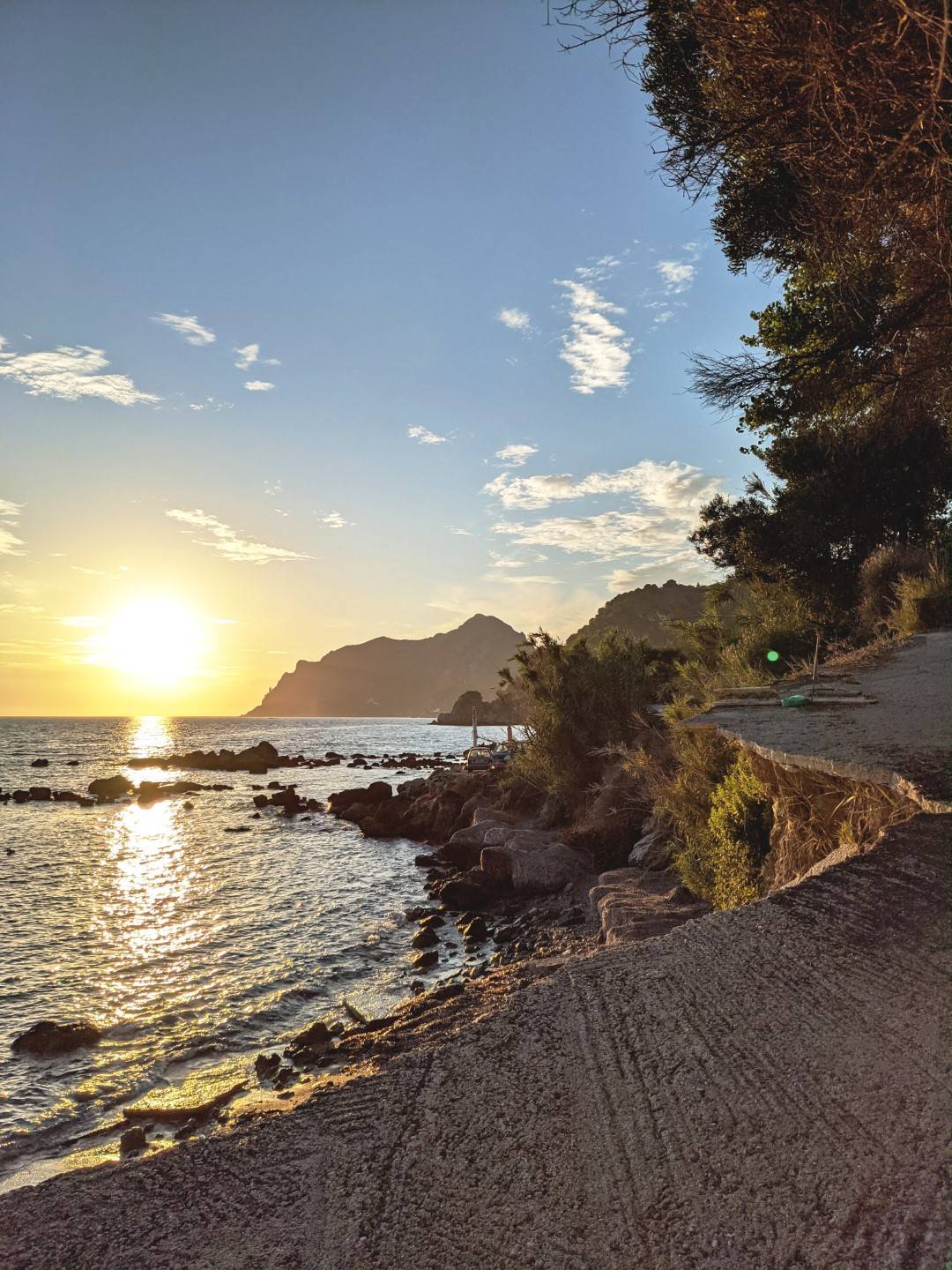 PXL_20210718_173631888-01 (Large)